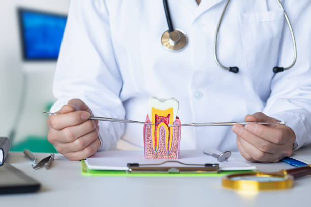 Best Emergency Dental Care for Abscessed Tooth in Faison, NC